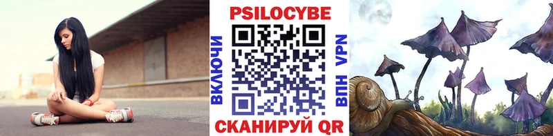 Галлюциногенные грибы Psilocybe  Судогда 