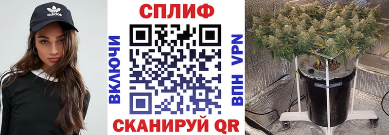 Бошки марихуана SATIVA & INDICA  Судогда 